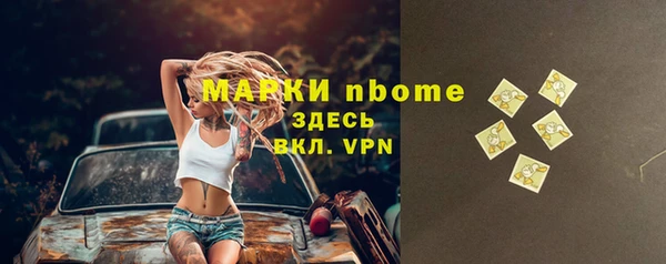 крисы Новозыбков