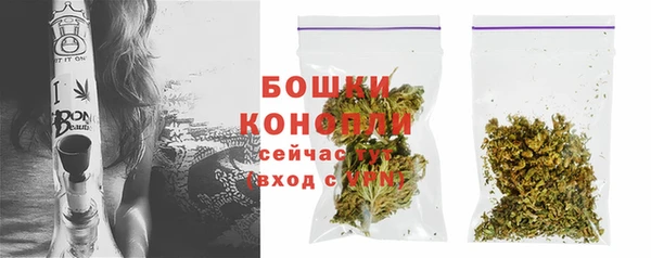 МДПВ Нея