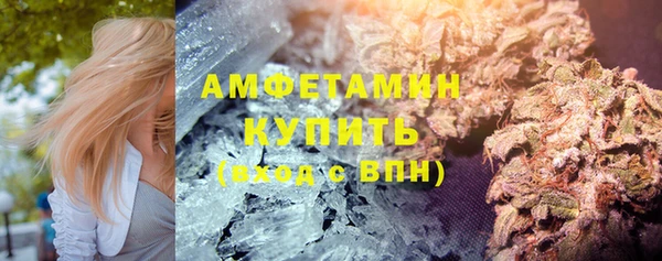 крисы Новозыбков