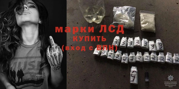 крисы Новозыбков