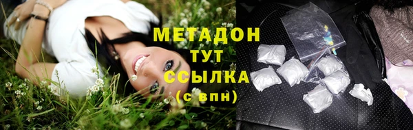 крисы Новозыбков