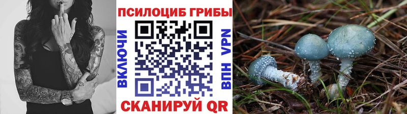 Галлюциногенные грибы мухоморы Макушино