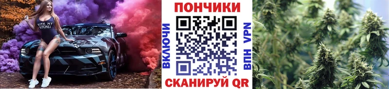 Шишки марихуана план  кракен вход  Макушино  магазин продажи наркотиков 
